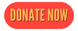 Donate Now button