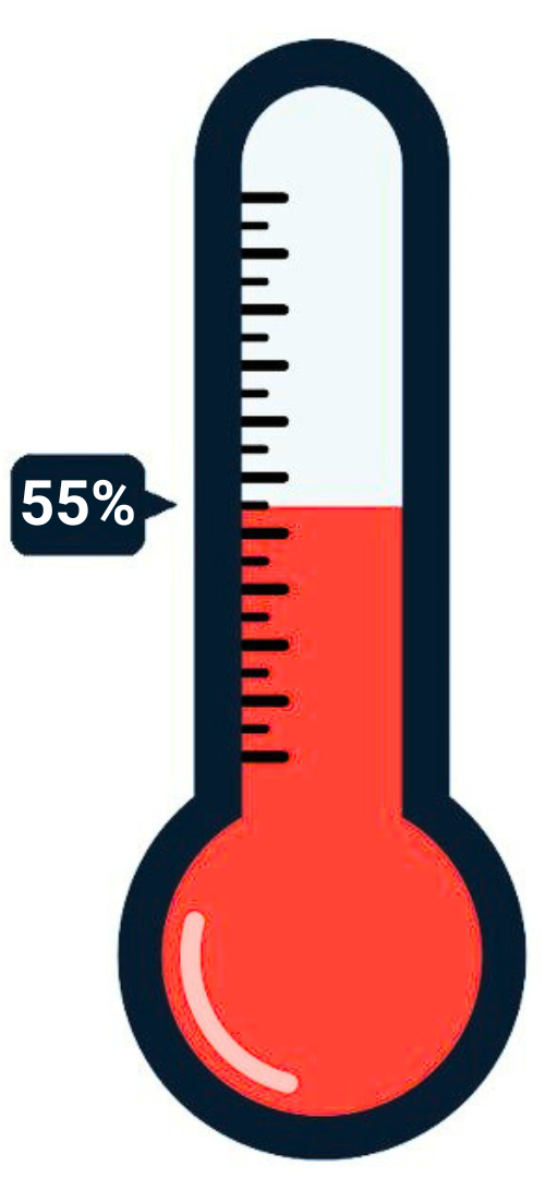 55% Way To Goal Campaign Thermometer